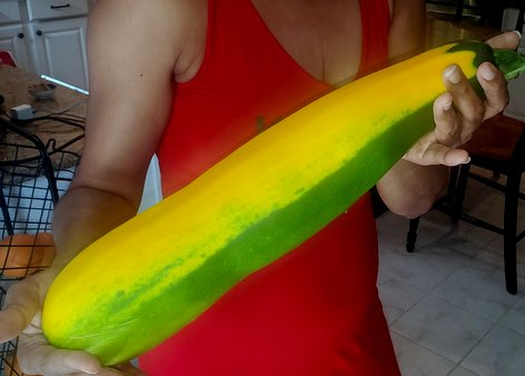My sister holding the biggest zucchini ever