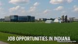 Job Opportunities in Indiana
